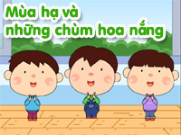 Mùa hạ và những chùm hoa nắng